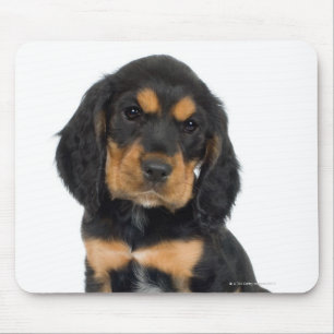 Studio-portret van Rottweiler-puppy Muismat