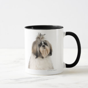 Studio-portret van Shih Tzu Mok