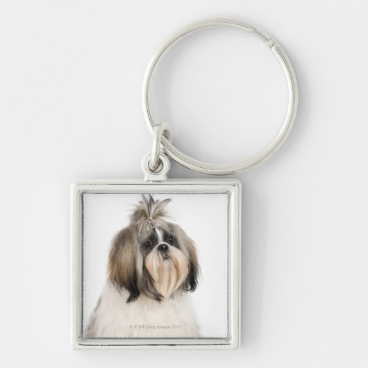 Studio-portret van Shih Tzu Sleutelhanger (Voorkant)
