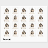 Studio-portret van Shih Tzu Vierkante Sticker (Vel)