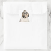 Studio-portret van Shih Tzu Vierkante Sticker (Tas)