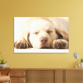 Studio-portret van Yellow Labrador Retriever Canvas Afdruk (Insitu (Woonkamer))