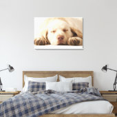 Studio-portret van Yellow Labrador Retriever Canvas Afdruk (Insitu (Slaapkamer))