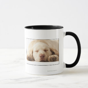 Studio-portret van Yellow Labrador Retriever Mok