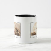 Studio-portret van Yellow Labrador Retriever Mok (Midden)