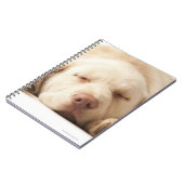 Studio-portret van Yellow Labrador Retriever Notitieboek (Linkerzijde)
