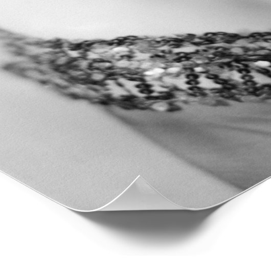 Studio Shot Poster (Hoek)