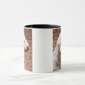 Studio shot van Bedlington Terrier Mok (Midden)