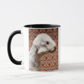 Studio shot van Bedlington Terrier Mok (Links)