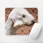 Studio shot van Bedlington Terrier Muismat (Met muis)