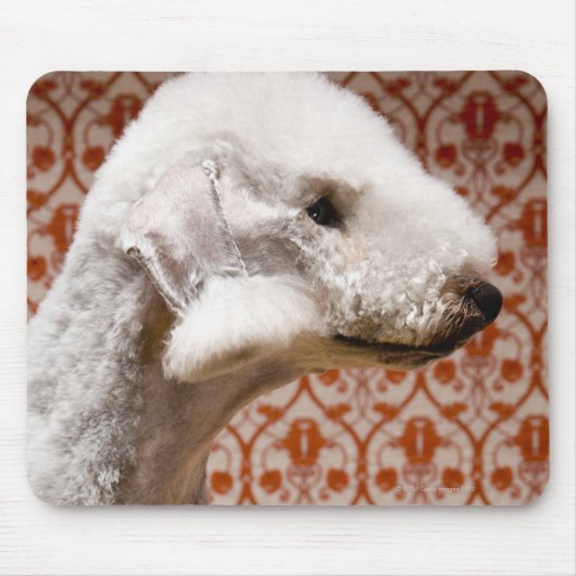 Studio shot van Bedlington Terrier Muismat (Voorkant)