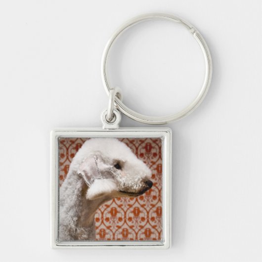 Studio shot van Bedlington Terrier Sleutelhanger (Voorkant)