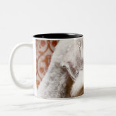 Studio shot van Bedlington Terrier Tweekleurige Koffiemok (Links)
