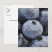 Studio shot van de bosbessen 2 briefkaart (Voorkant / Achterkant)