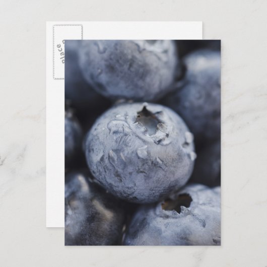 Studio shot van de bosbessen 2 briefkaart (Voorkant / Achterkant)