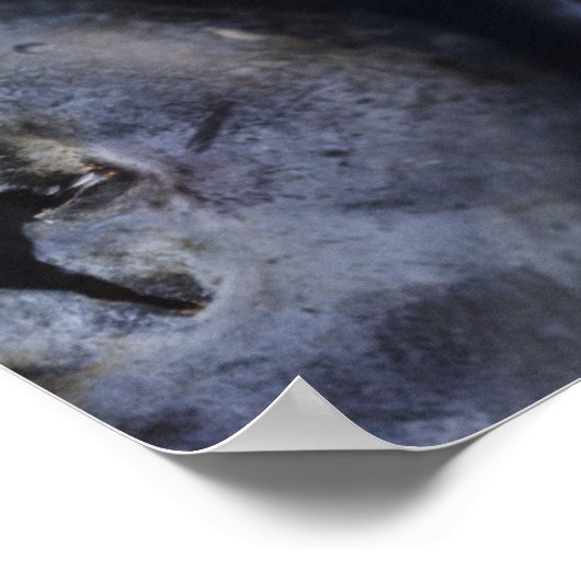 Studio shot van de bosbessen 3 poster (Hoek)