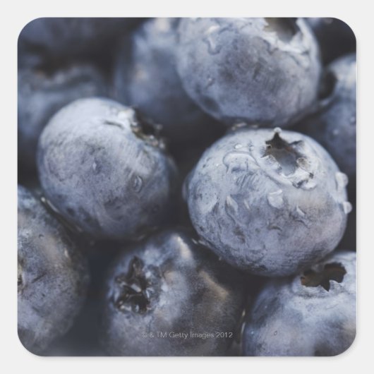 Studio shot van de bosbessen 3 vierkante sticker (Voorkant)