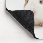 Studio shot van Guinee Pig Muismat (Hoek)