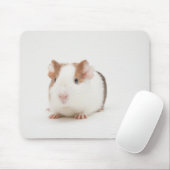 Studio shot van Guinee Pig Muismat (Met muis)