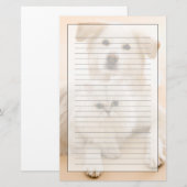 Studio shot van kat en hond briefpapier (Voorkant / Achterkant)
