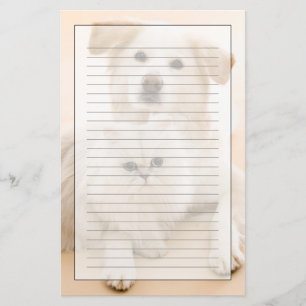 Studio shot van kat en hond briefpapier