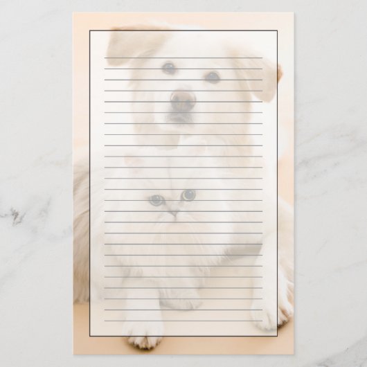 Studio shot van kat en hond briefpapier (Voorkant)
