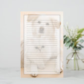 Studio shot van kat en hond briefpapier (Staand voorkant)