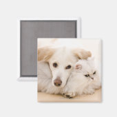 Studio shot van kat en hond magneet (Voorkant / Achterkant)