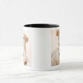 Studio shot van kat en hond mok (Midden)