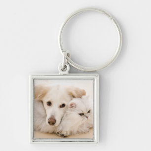 Studio shot van kat en hond sleutelhanger