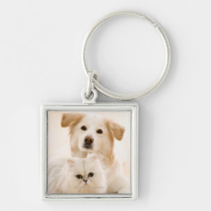 Studio shot van kat en hond sleutelhanger