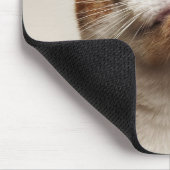 Studio shot van kat omhoog muismat (Hoek)