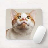 Studio shot van kat omhoog muismat (Met muis)