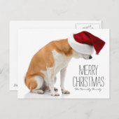 Studio shot van Shiba Inu hond met Santa-hoed Feestdagenkaart (Voorkant / Achterkant)