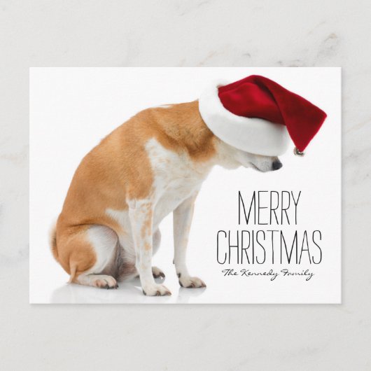 Studio shot van Shiba Inu hond met Santa-hoed Feestdagenkaart (Voorkant)
