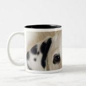 studio tweekleurige koffiemok (Links)