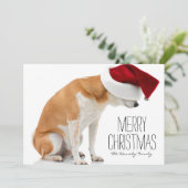 Studio van de hond die van Shiba is ontsproten Inu Feestdagenkaart (Staand voorkant)