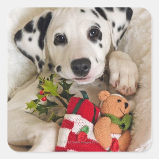 studio vierkante sticker (Voorkant)