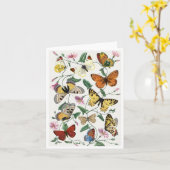 Study of diurnal butterflies by Paul Gervais Brief Kaart (Gele Bloem)