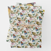 Study of diurnal butterflies by Paul Gervais Inpakpapier Vel (In situ)