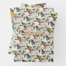 Study of diurnal butterflies by Paul Gervais