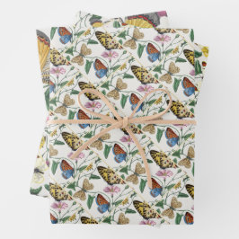 Study of diurnal butterflies by Paul Gervais Inpakpapier Vel