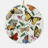Study of diurnal butterflies by Paul Gervais Keramisch Ornament (Achterkant)