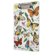 Study of diurnal butterflies by Paul Gervais Klembord (Links)