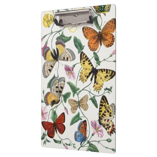 Study of diurnal butterflies by Paul Gervais Klembord (Links)