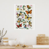 Study of diurnal butterflies by Paul Gervais Poster (Keuken)