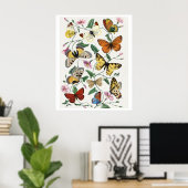 Study of diurnal butterflies by Paul Gervais Poster (Thuiskantoor)