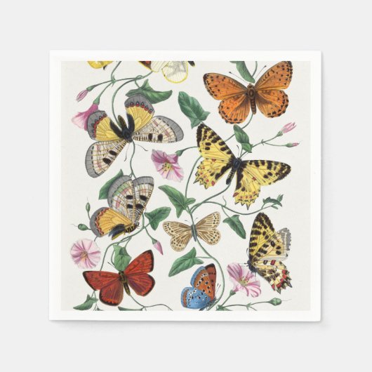 Study of diurnal butterflies by Paul Gervais Servet (Voorkant)