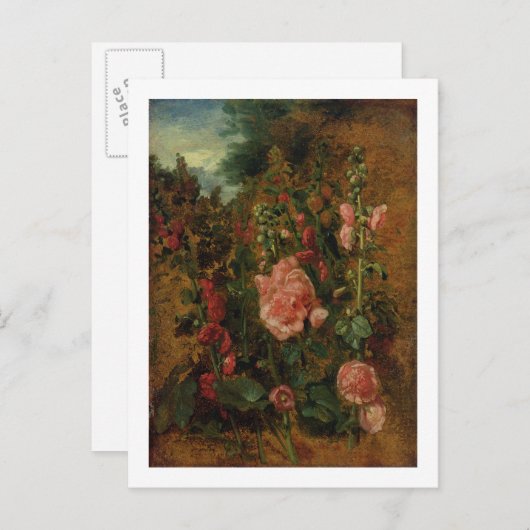 Study of Hollyhocks, c.1826 (olie aan boord) Briefkaart (Voorkant / Achterkant)