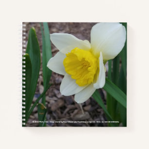 Stuf dat ik leuk vind aan notebook van RoseWriters Notitieboek